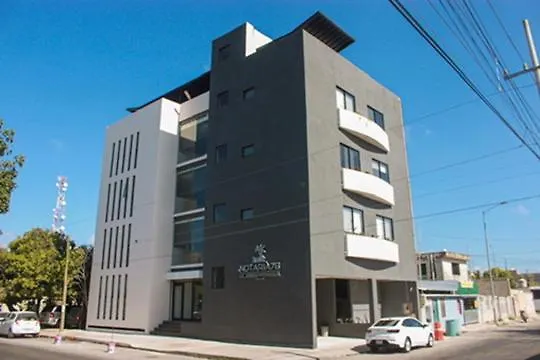 Lofts 35 En Playa Del Carmen Apartment 0*,